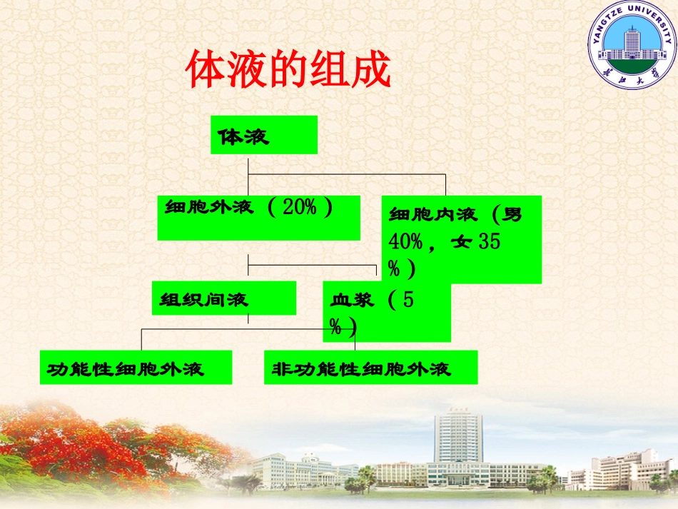 外科病人的体液失调2学时.ppt_第3页