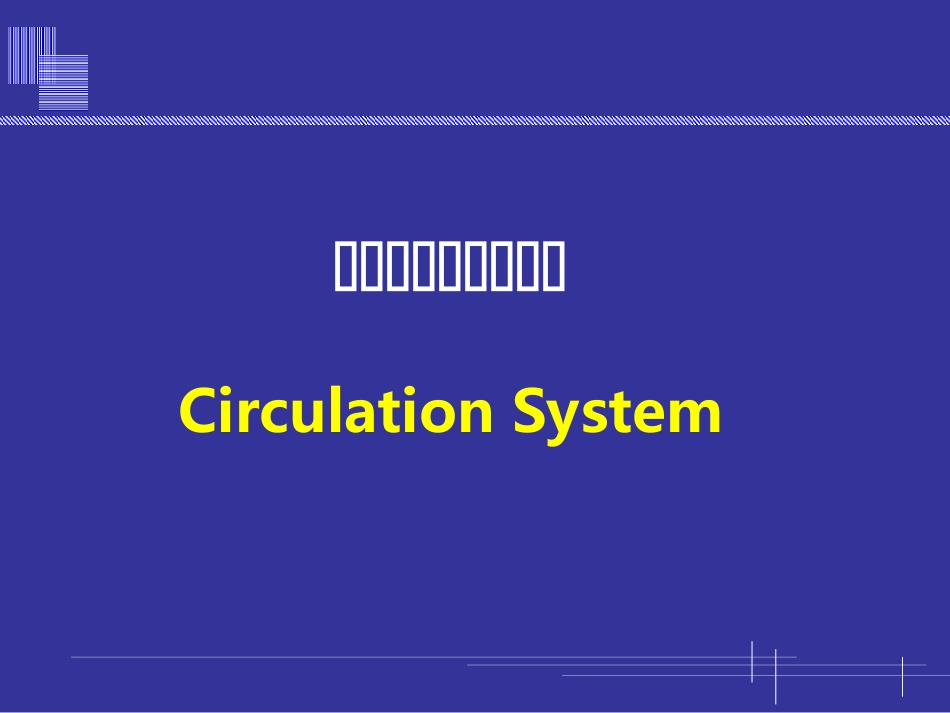 心脏以及循环系统的进化.ppt_第1页