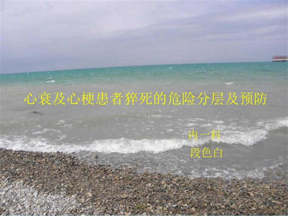 心脏性猝死指南解.ppt_第1页