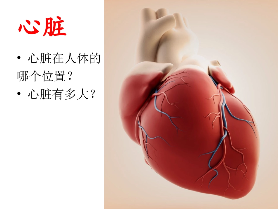 心脏与血管.ppt_第2页