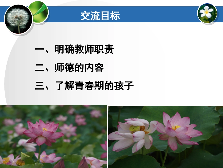 教师师德师风专题培训《润物细无声》.ppt_第2页