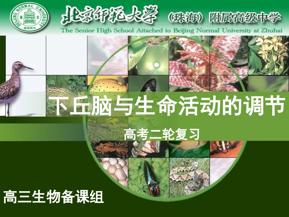 下丘脑与生命活动的调节.ppt_第1页