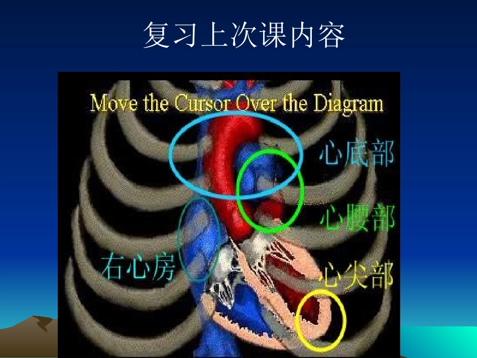 心脏检查2-心-脏-听-诊(5学时).ppt_第1页