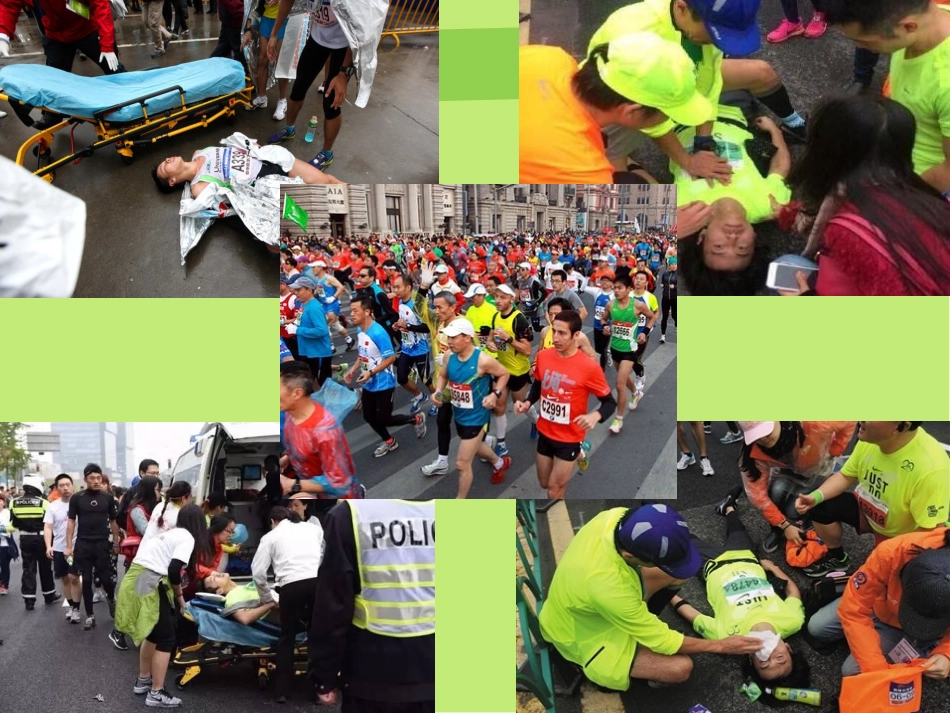 心脏及用药知识.ppt_第2页