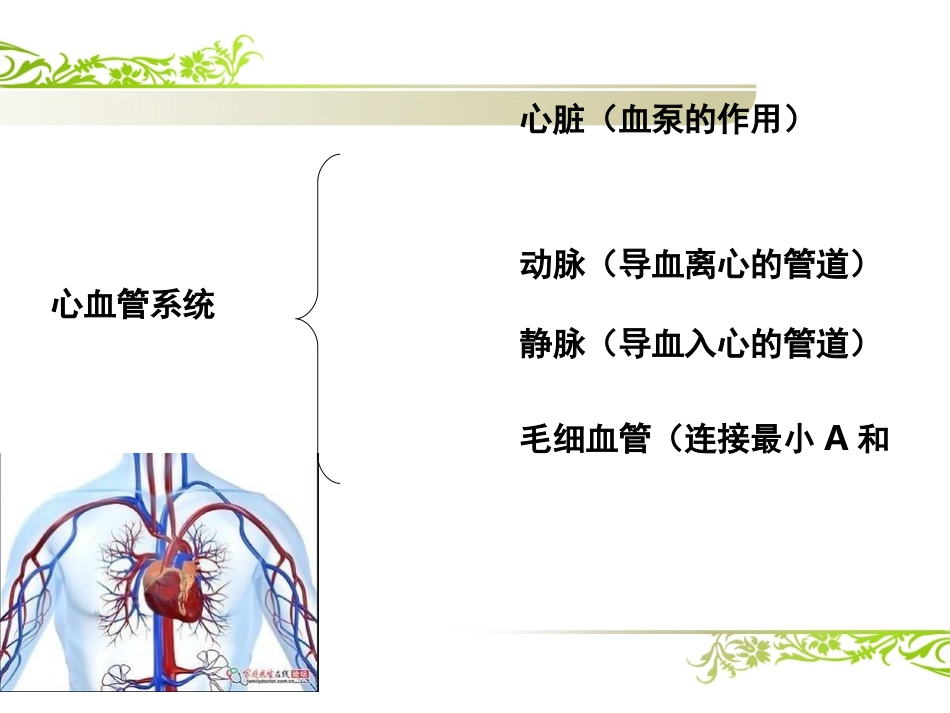 心血管系统评估-.ppt_第3页