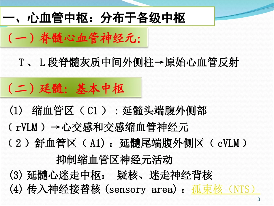 心血管中枢及反射.ppt_第3页
