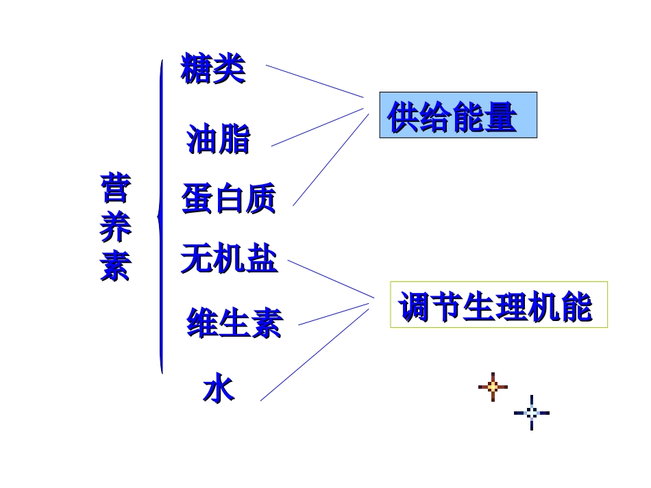 提供能量与营养的食物(精).ppt_第2页