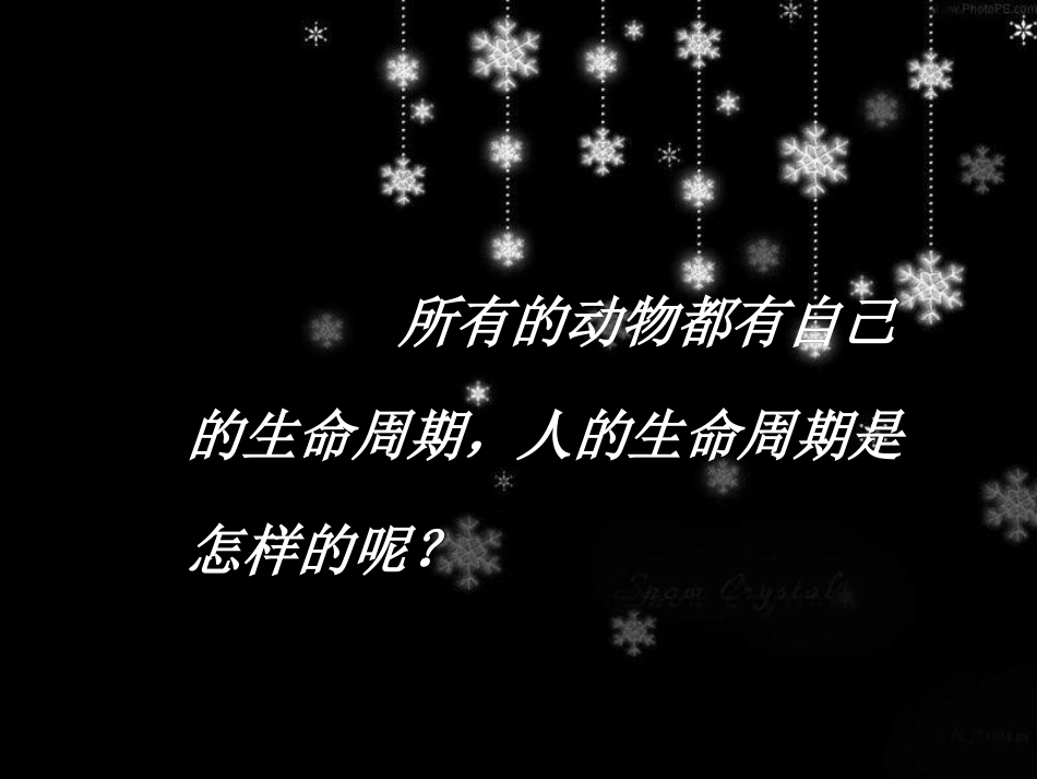 我们的生命周期.ppt_第2页