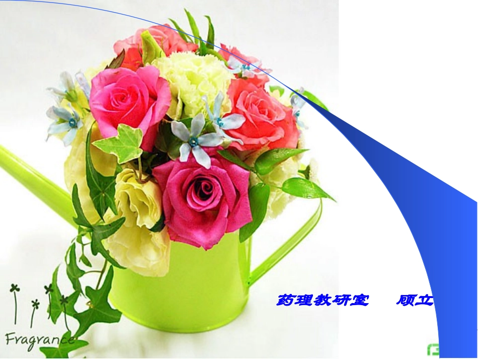 心血管系统药理..ppt_第1页