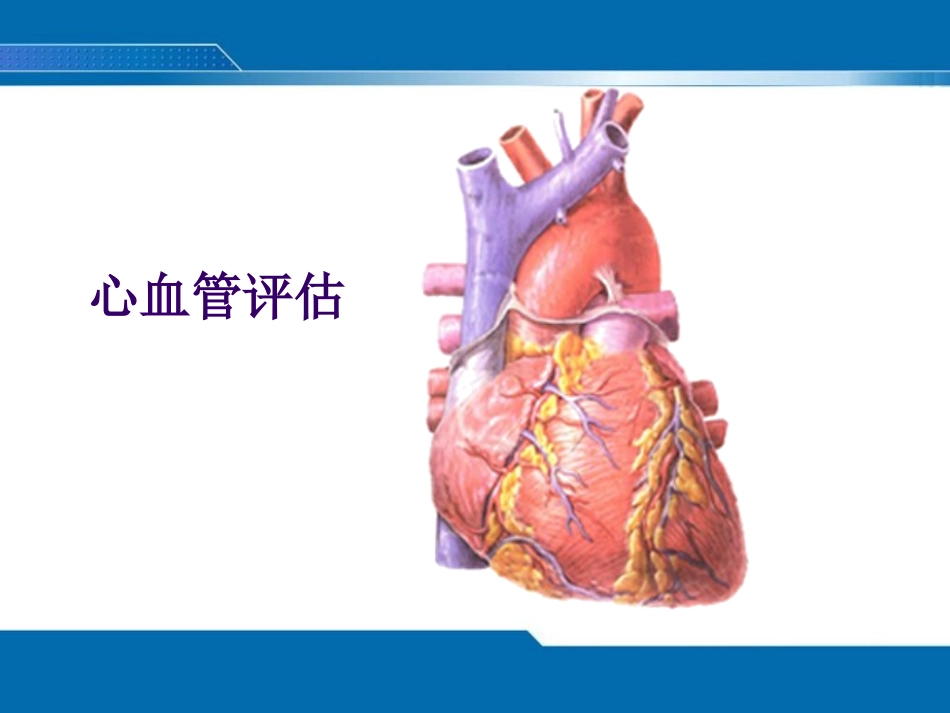 心脏评估(新).ppt_第1页