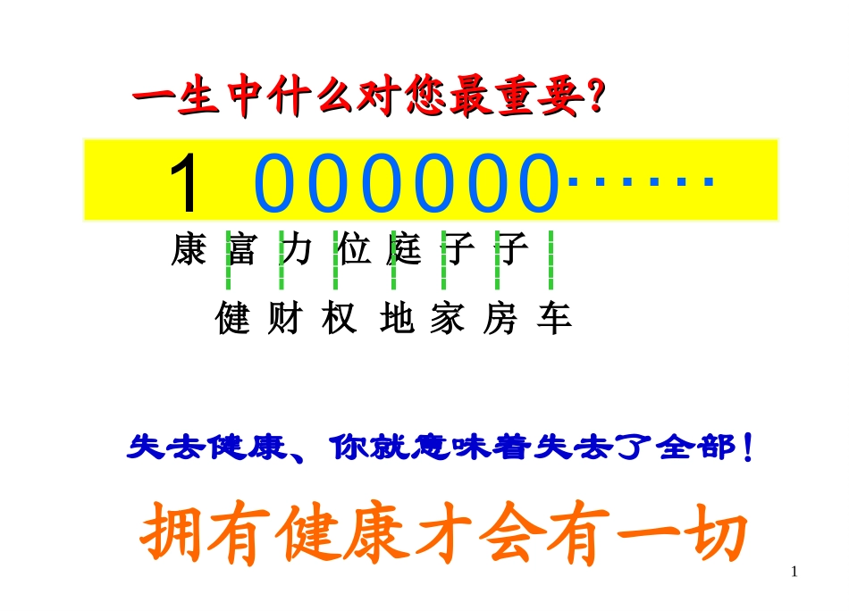 托玛琳自发热护具.ppt_第1页