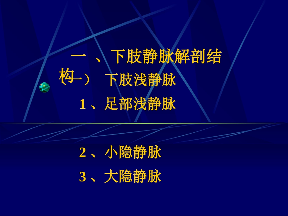 下肢静脉造影幻灯.ppt_第2页