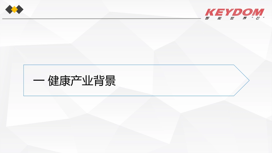 大健康产业.pdf_第3页