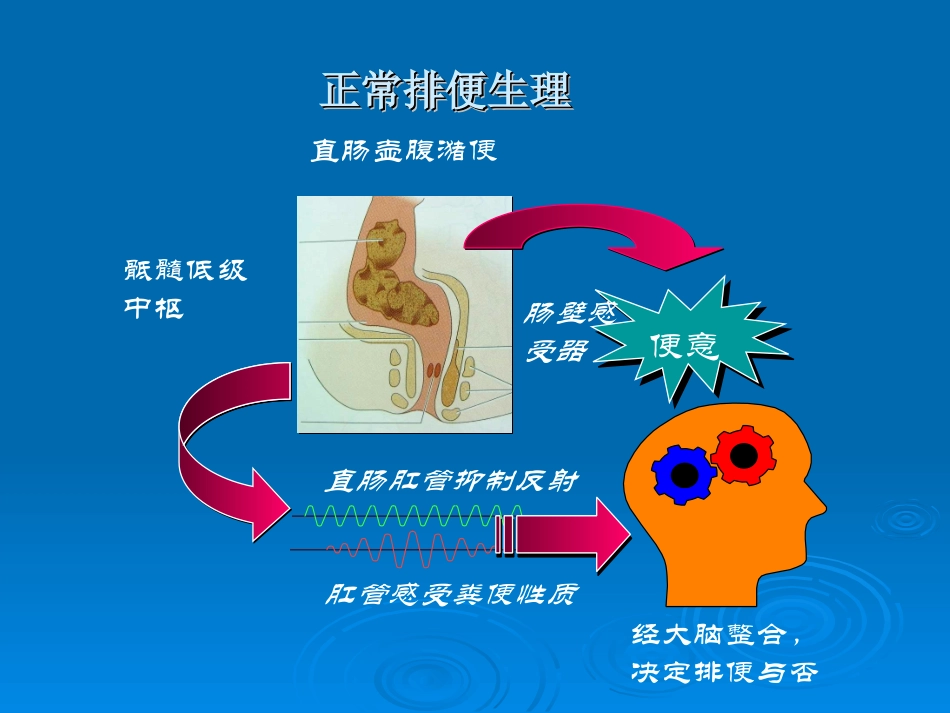 先天性巨结肠剖析.ppt_第3页