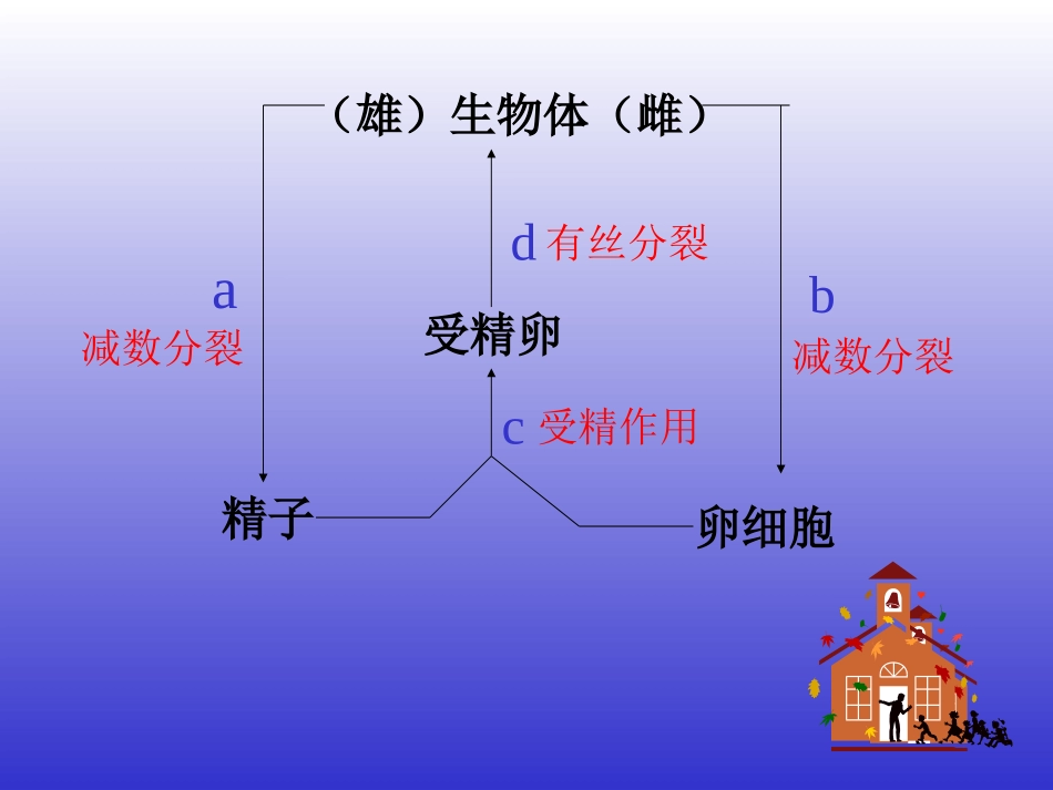 小孢子花粉粒胚囊母细胞.ppt_第1页