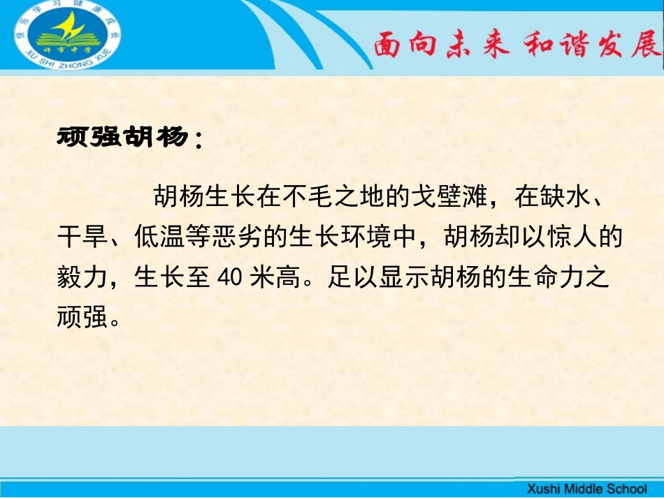 我们的胡杨精神.ppt_第3页