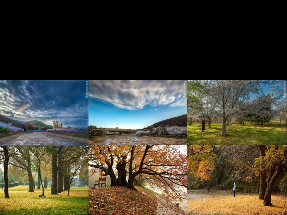 儿童拓展训练.pdf_第2页