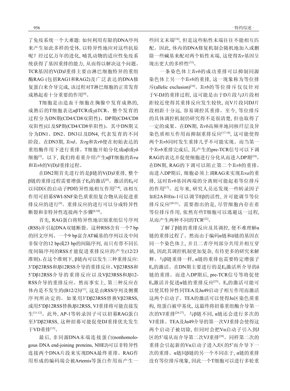T细胞抗原受体的结构与功能研究进展.pdf_第2页