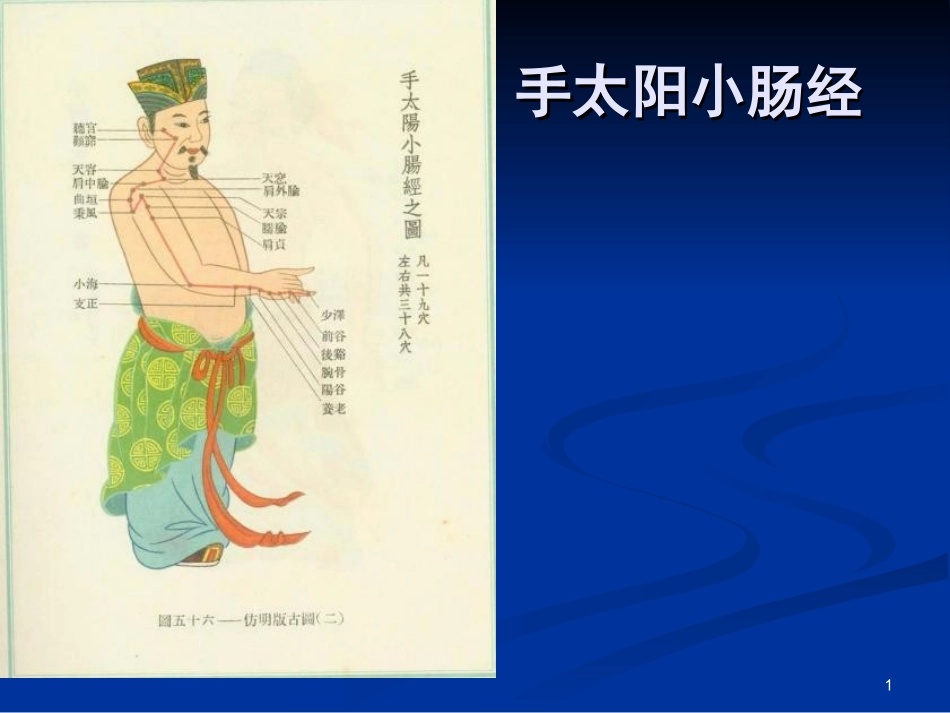 小肠经经脉穴位.ppt_第1页