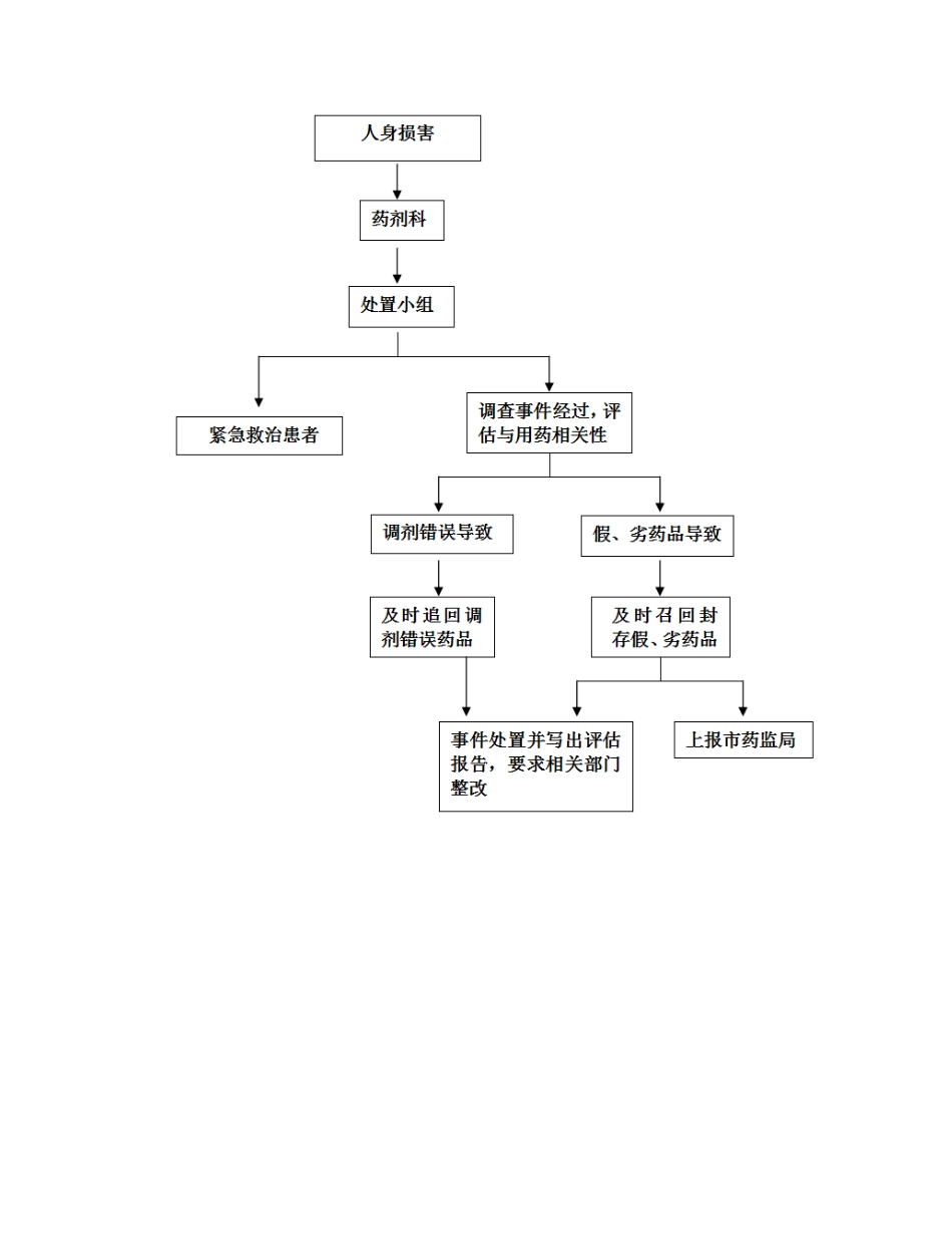 用药错误应急预案.docx_第3页