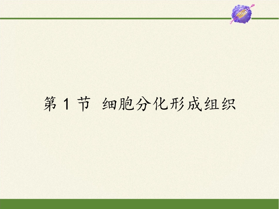 北师大版生物七年级上册 4.1细胞分化形成组织(课件(共17张PPT).pptx_第1页