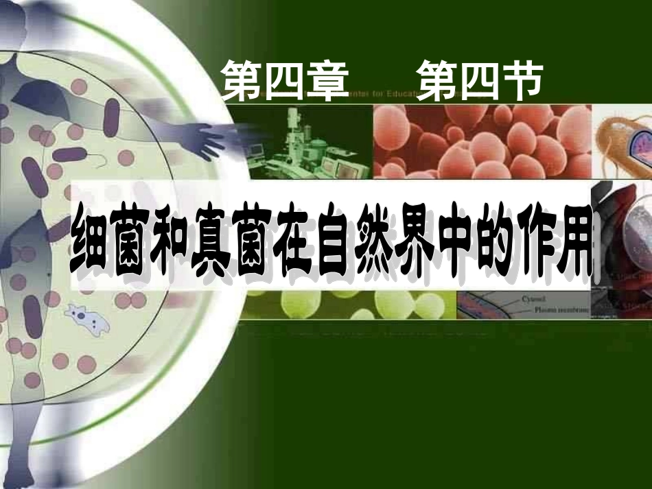 新人教版-第四章第四节-细菌和真菌在自然界中的作用.ppt_第3页