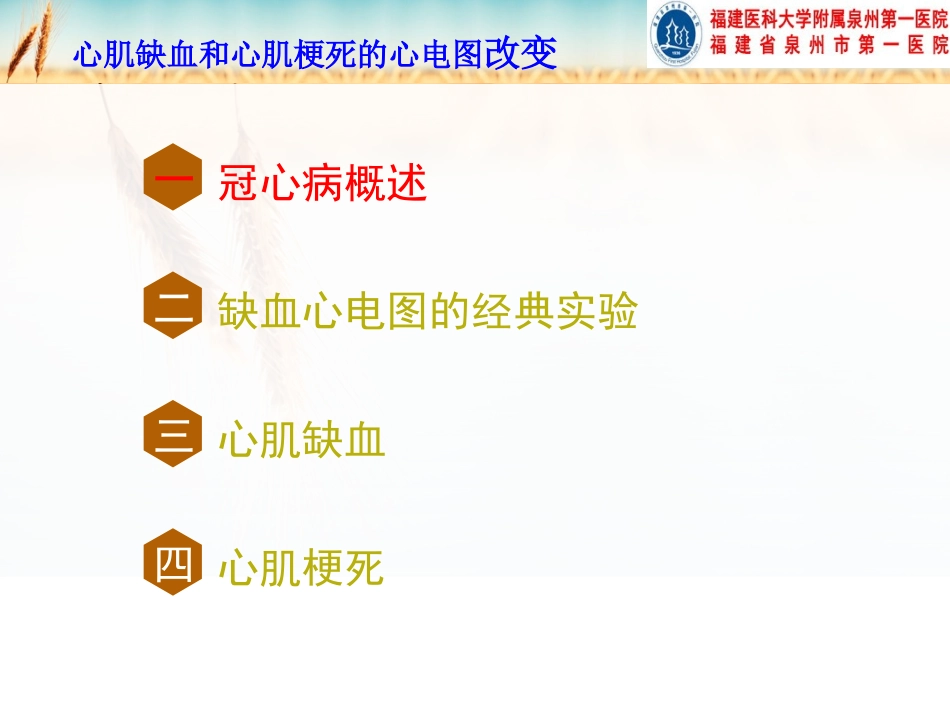 心肌缺血与心肌梗死心电图改变.ppt_第2页