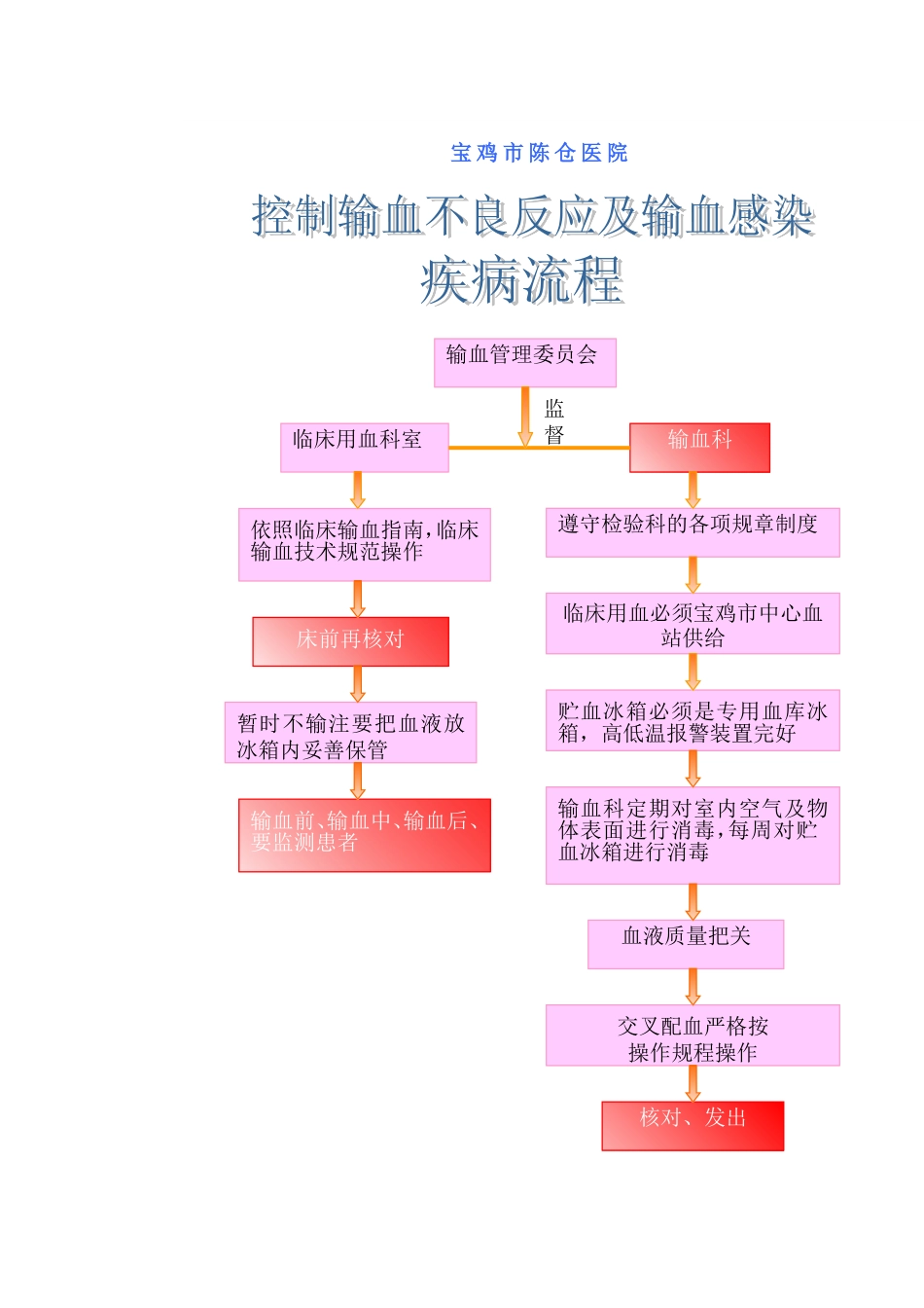 控制输血严重危害(SHOT)预案.doc_第3页