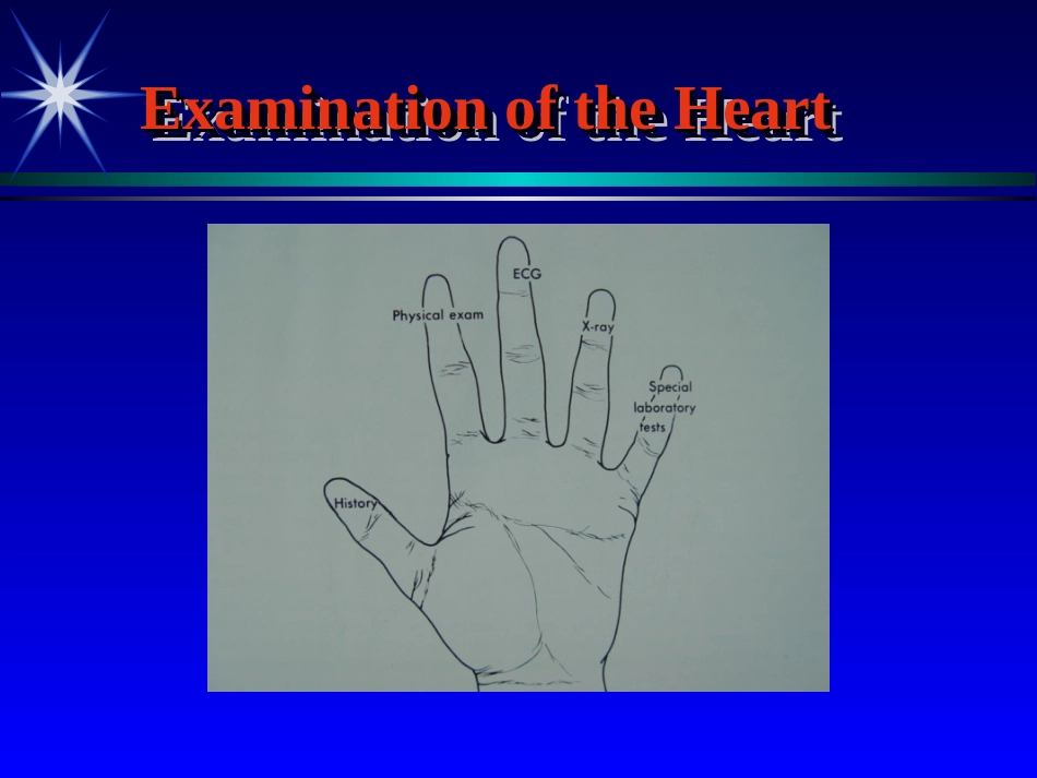 心脏望触叩.ppt_第2页