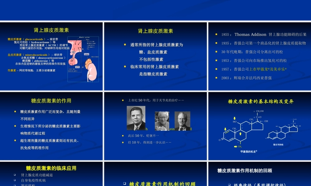 糖皮质激素和风湿免疫病2006.ppt