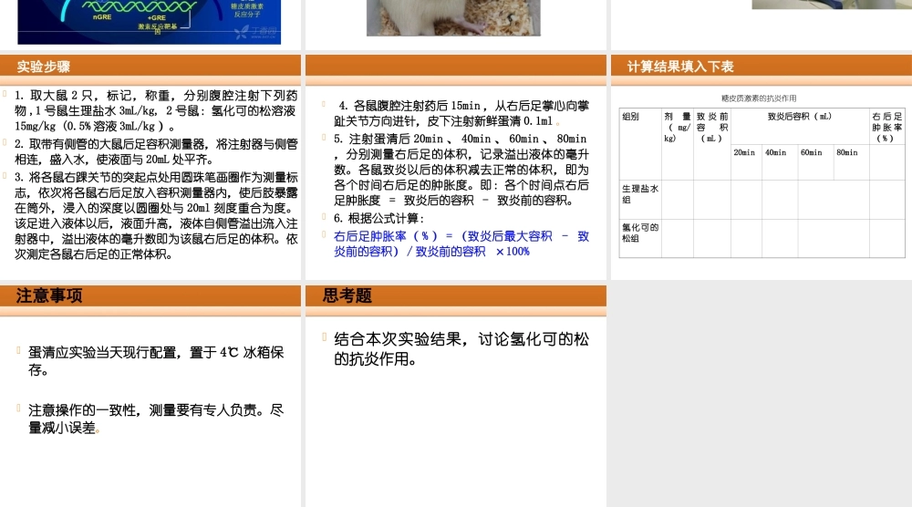 糖皮质激素的抗炎作用.ppt