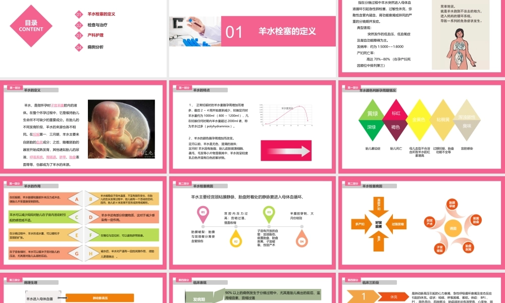 羊水栓塞查房.pptx