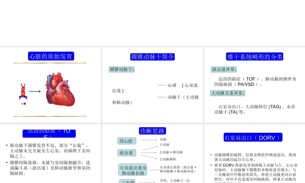 胎儿心脏锥干畸形-有动画.ppt