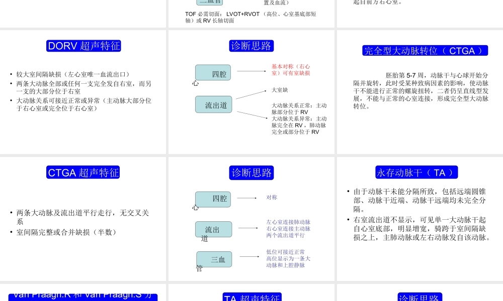胎儿心脏锥干畸形-有动画.ppt