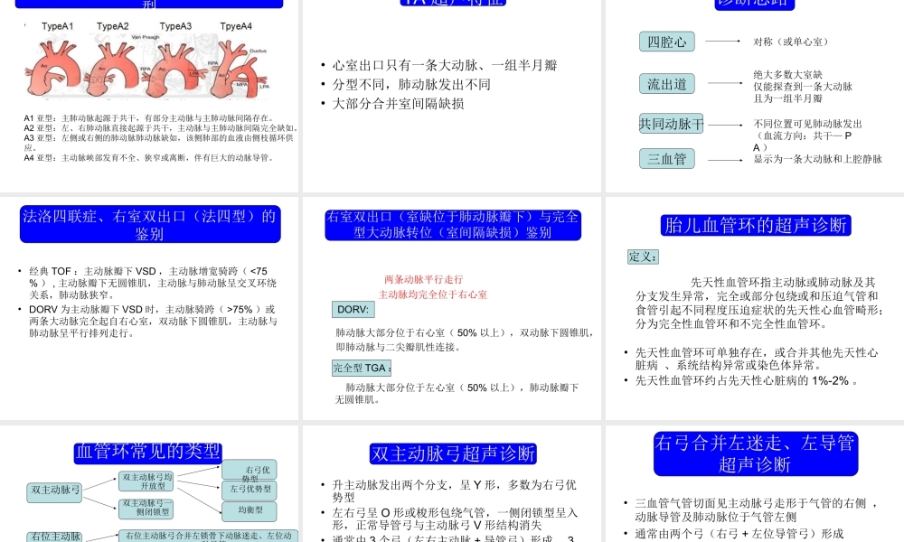胎儿心脏锥干畸形-有动画.ppt
