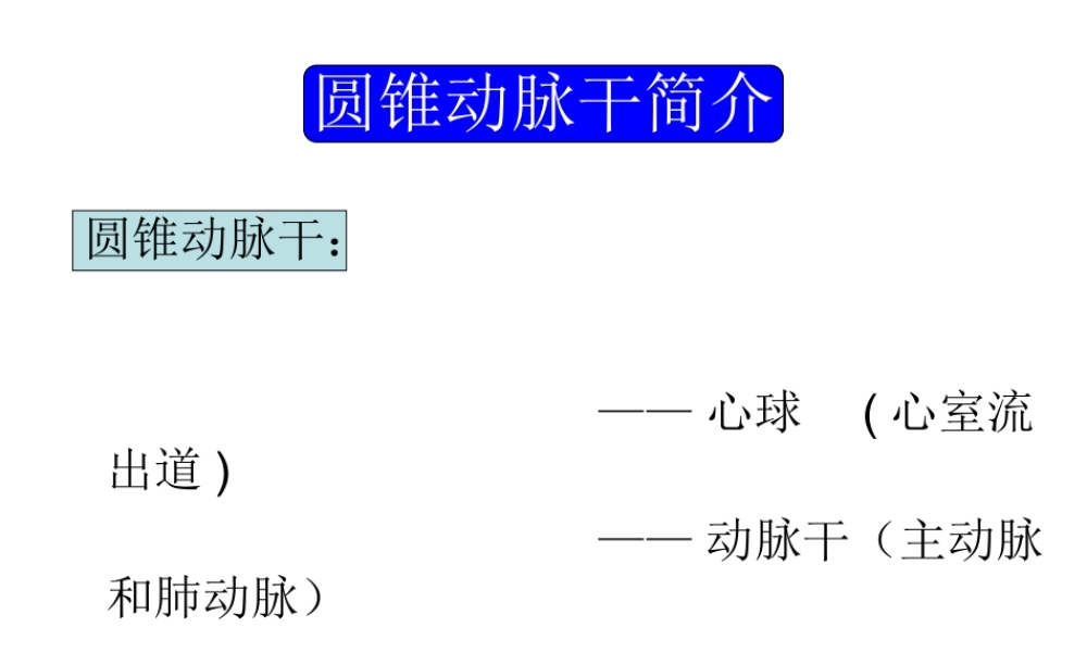 胎儿心脏锥干畸形有动画.ppt