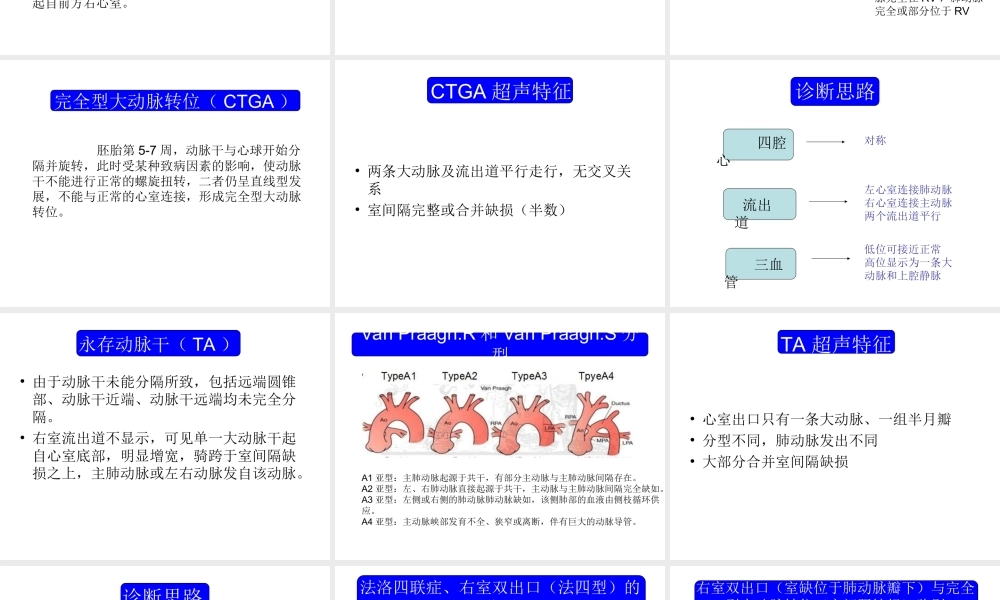 胎儿心脏锥干畸形有动画.ppt
