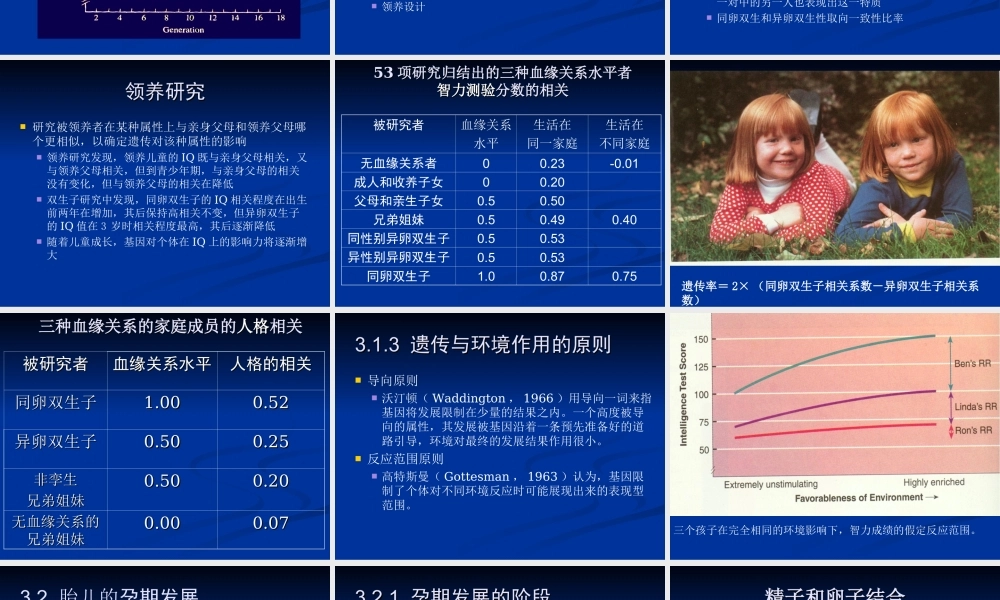 胎儿的发展与出生.ppt