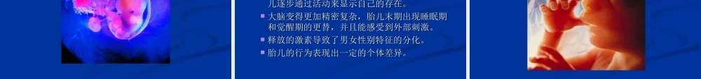 胎儿的发展与出生.ppt