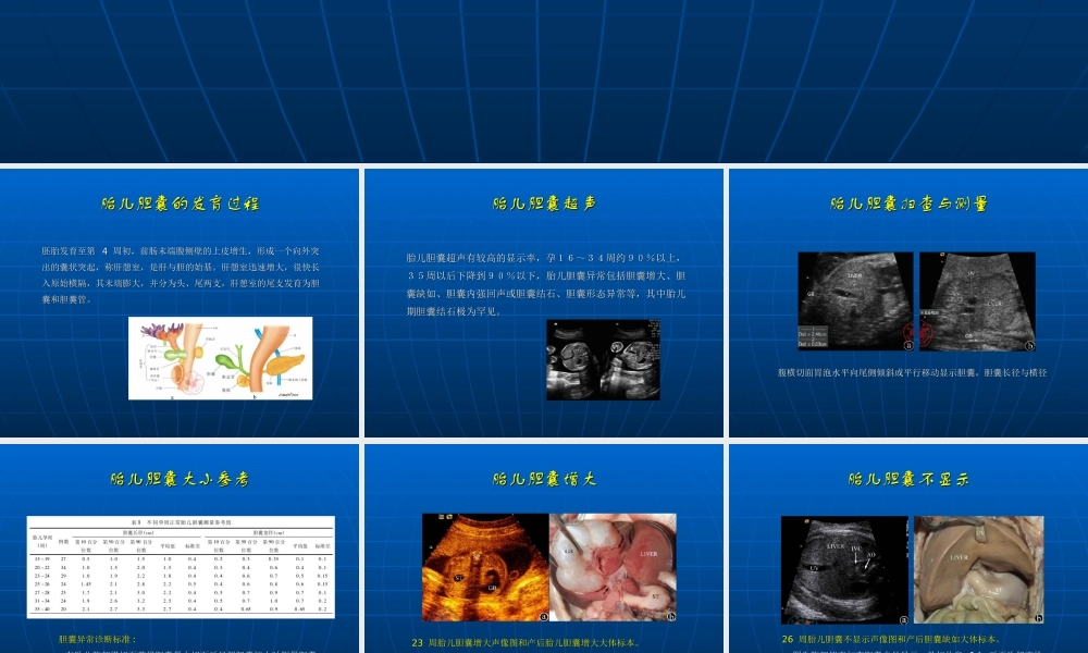 胎儿胆囊超声观察.ppt