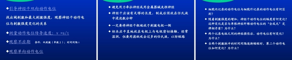 神经干动作电位.ppt