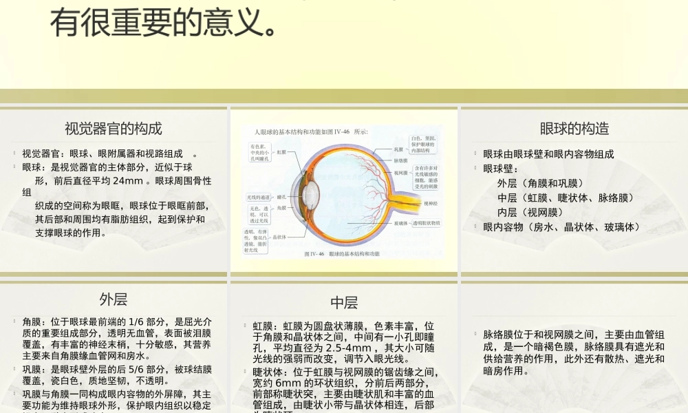 眼球的结构与功能.ppt