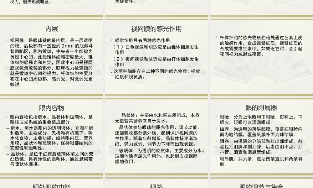 眼球的结构与功能.ppt