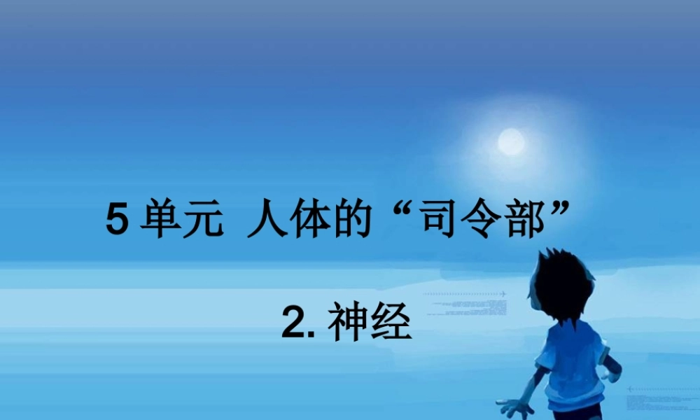 神经中枢脑脊髓脑神经.ppt