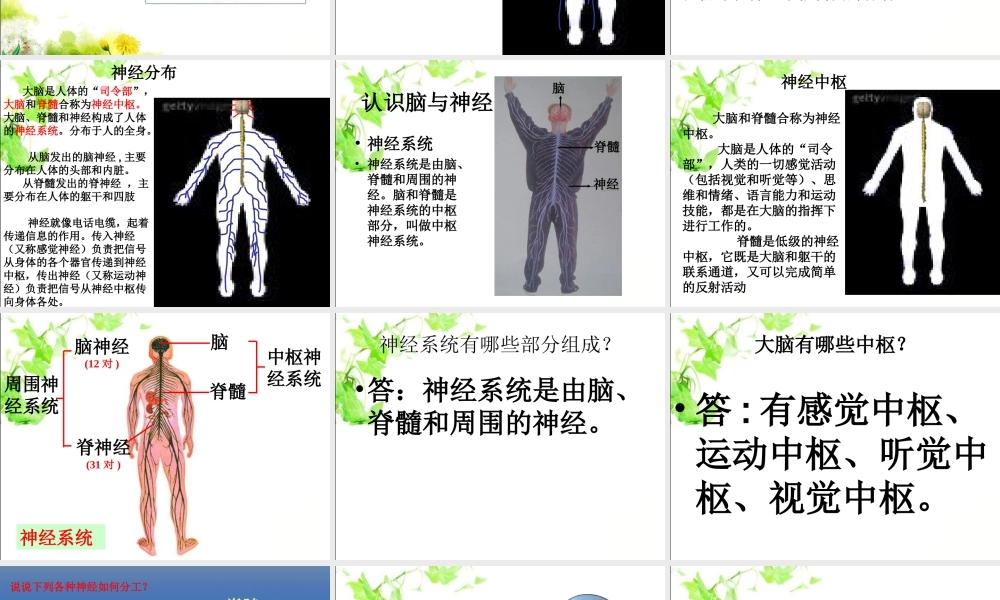 神经中枢脑脊髓脑神经.ppt