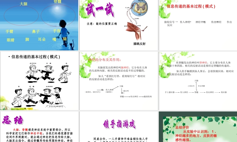 神经中枢脑脊髓脑神经.ppt