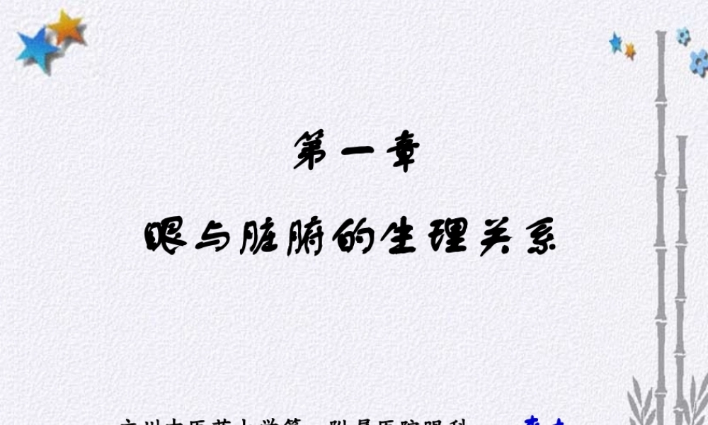 眼与脏腑经络的关系.ppt