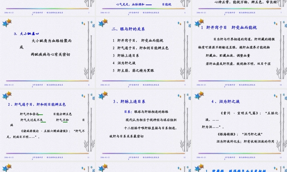 眼与脏腑经络的关系.ppt