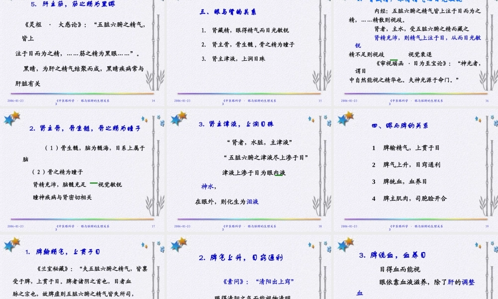 眼与脏腑经络的关系.ppt