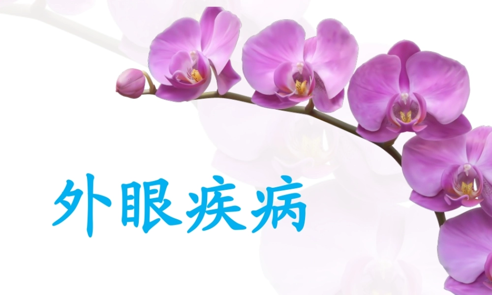 眼睑病-lgy.ppt